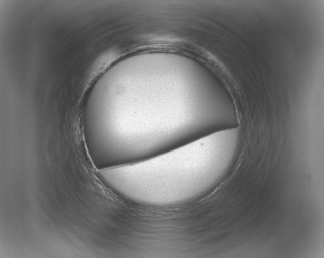 X0000080181362200612081123