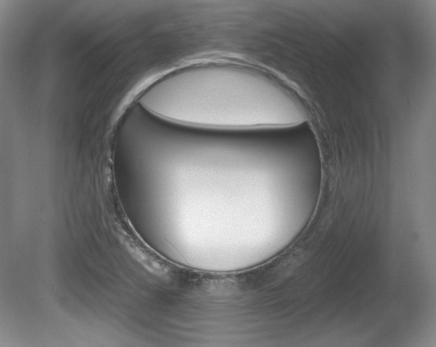 X0000080181363200612081123