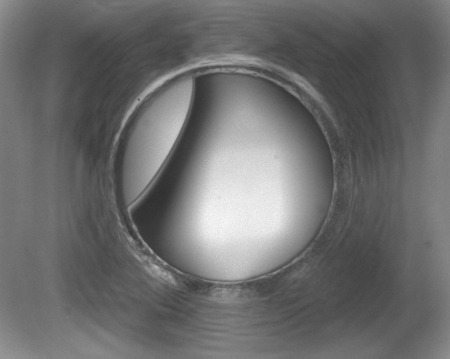 X0000080181364200612081123