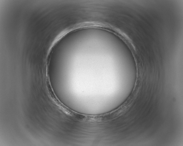 X0000080181365200612081123