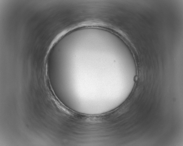 X0000080181366200612081123