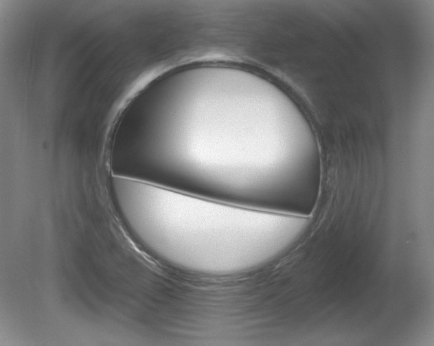 X0000080181367200612081123