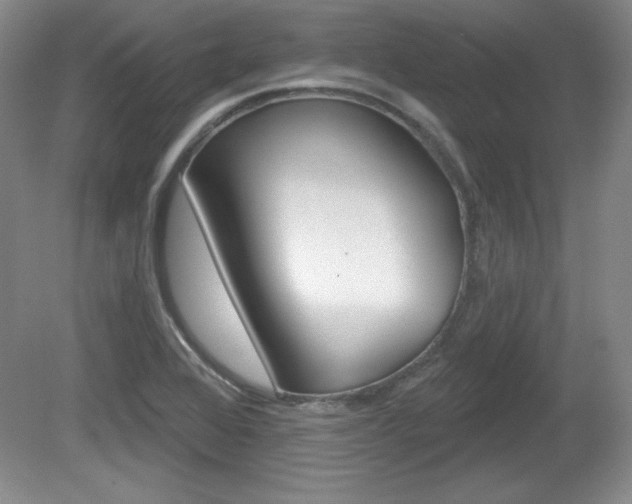 X0000080181368200612081123