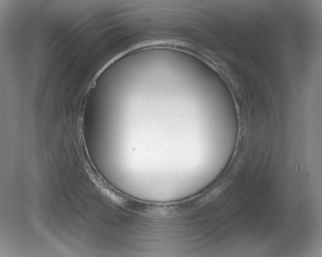 X0000080181369200612081123
