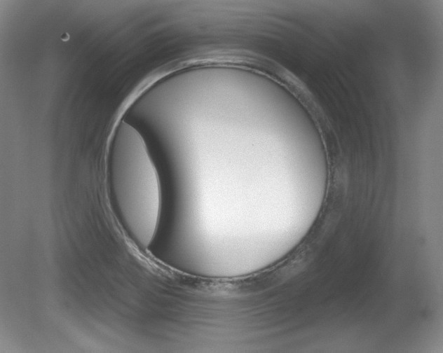 X0000080181370200612081123