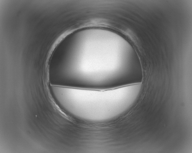 X0000080181371200612081123