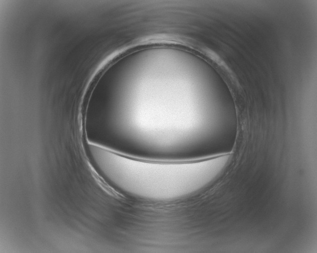 X0000080181372200612081123