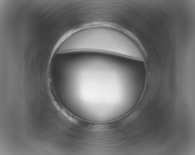 X0000080181373200612081123