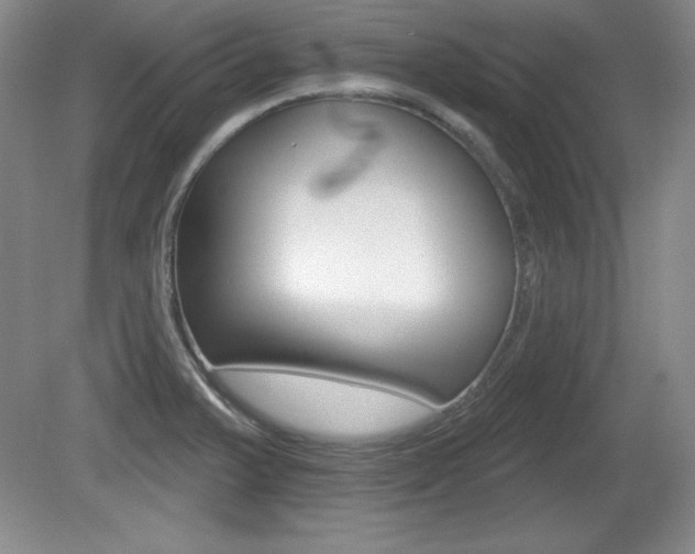 X0000080181375200612081123