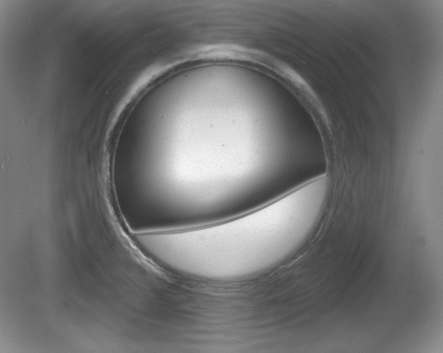 X0000080181376200612081123