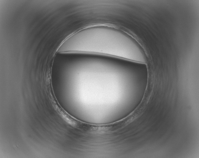 X0000080181377200612081123