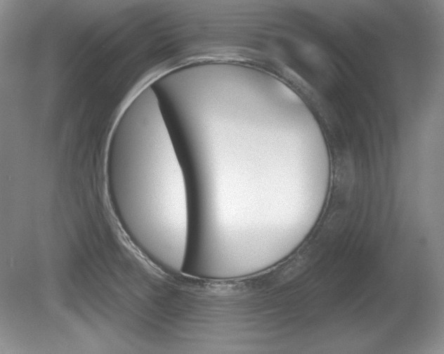 X0000080181378200612081123