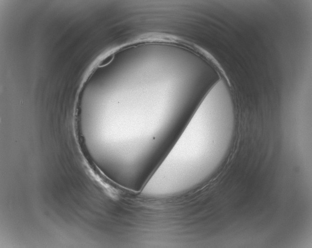 X0000080181379200612081123