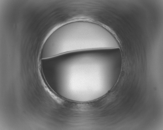 X0000080181383200612081122