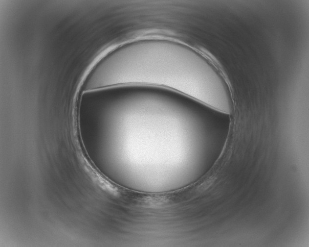 X0000080181384200612081122