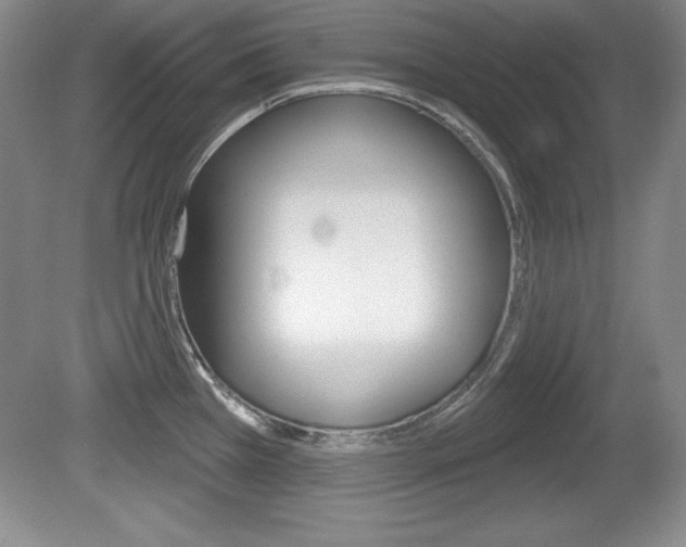 X0000080181385200612081122
