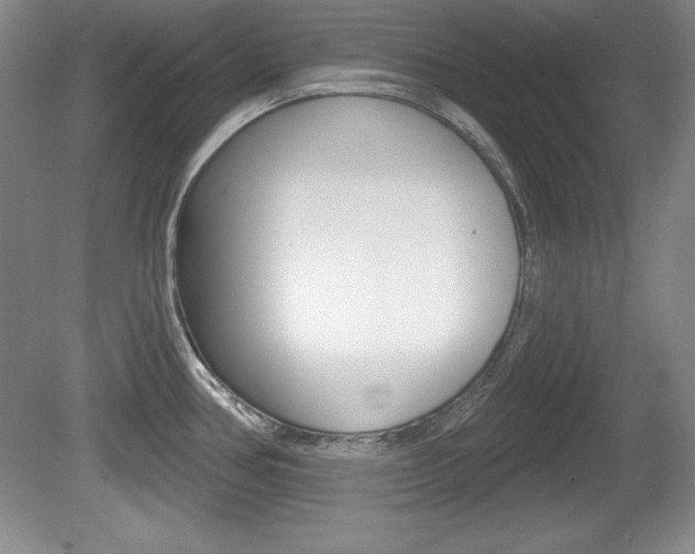 X0000080181386200612081122