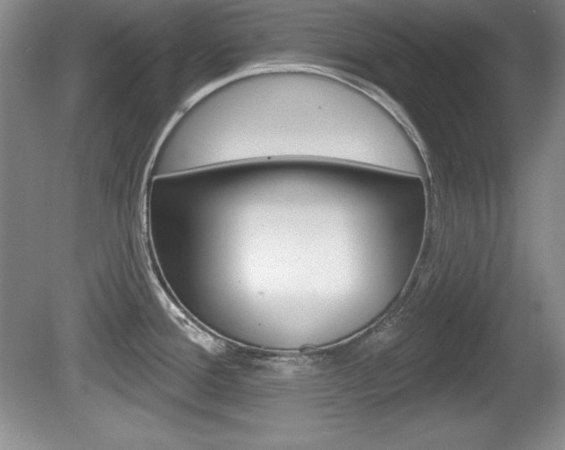X0000080181388200612081122