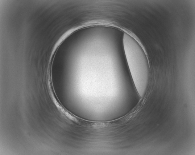 X0000080181389200612081122
