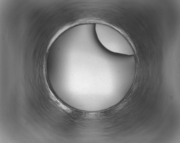 X0000080181390200612081122