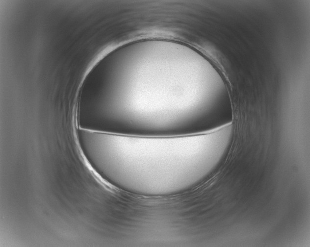 X0000080181391200612081122