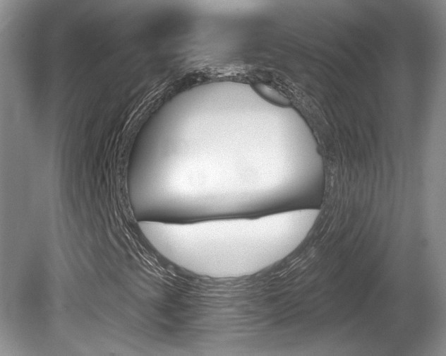 X0000080181393200612081121