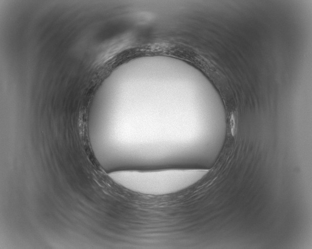 X0000080181395200612081122