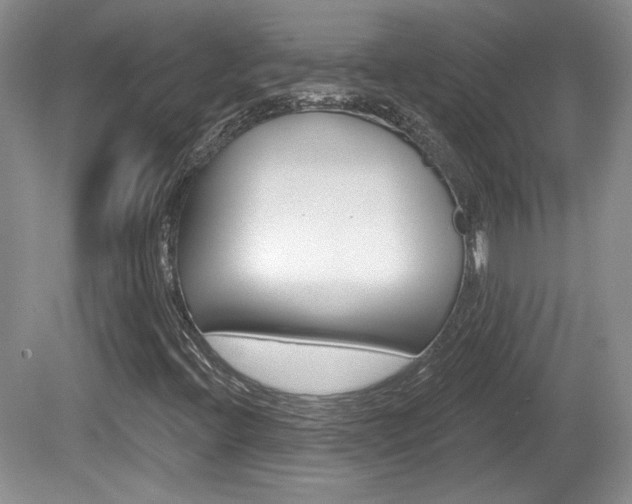 X0000080181396200612081122