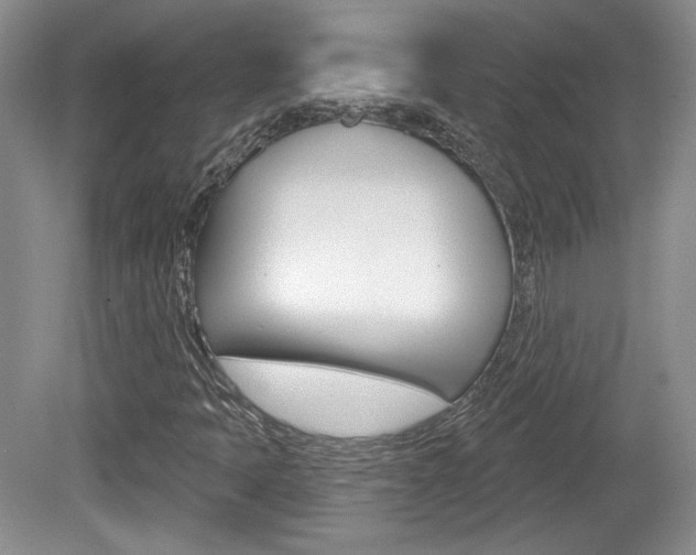 X0000080181397200612081122