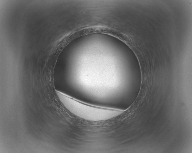 X0000080181398200612081122