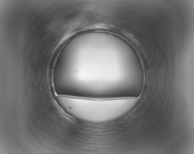 X0000080181404200612081122