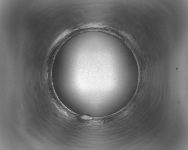 X0000080181406200612081122