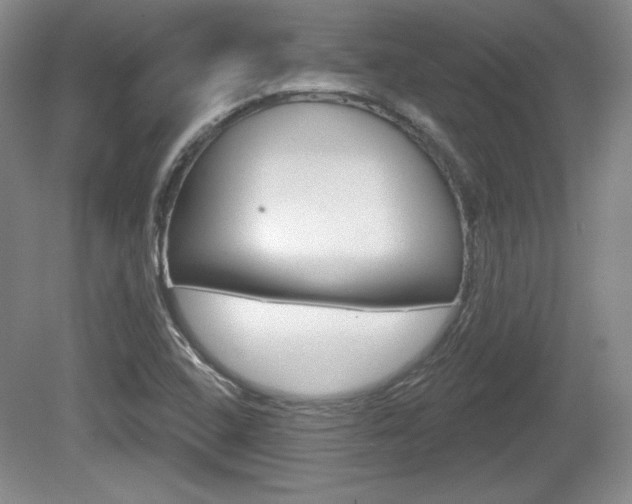 X0000080181408200612081122