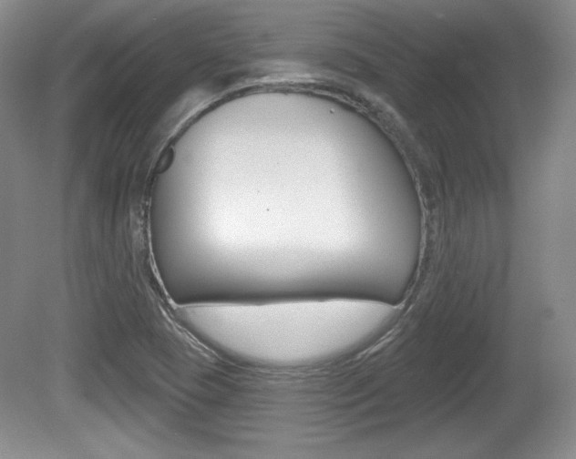 X0000080181409200612081122