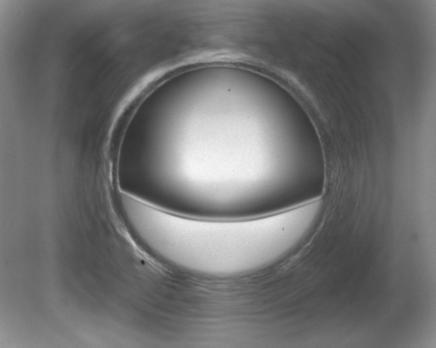 X0000080181414200612081122