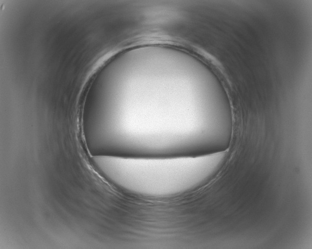 X0000080181415200612081122