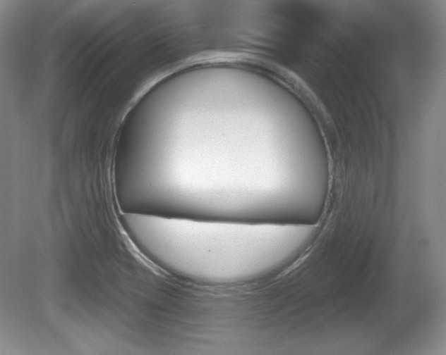 X0000080181417200612081122