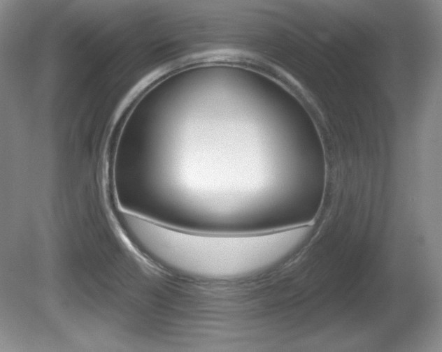 X0000080181418200612081122