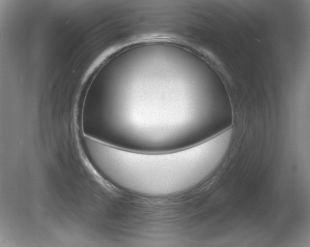 X0000080181422200612081122