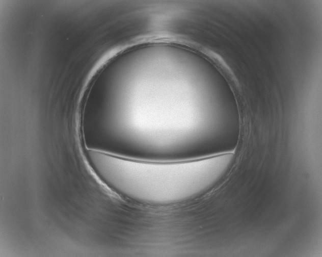 X0000080181424200612081122