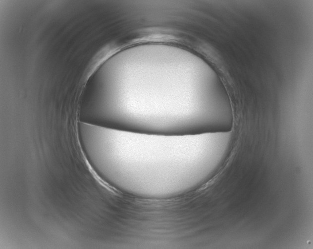 X0000080181425200612081122