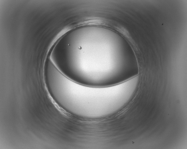 X0000080181426200612081122