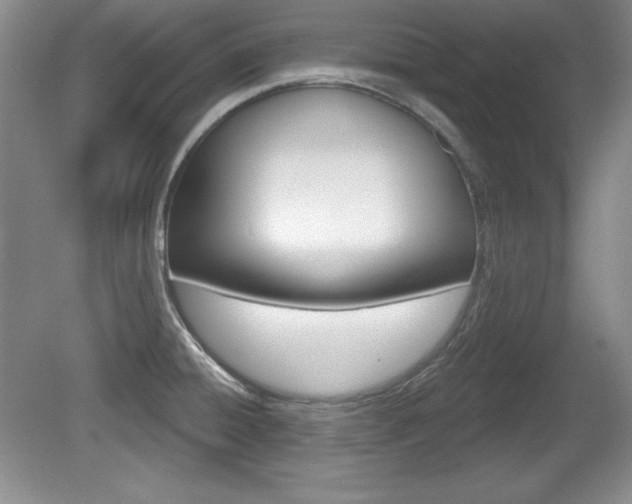 X0000080181428200612081122