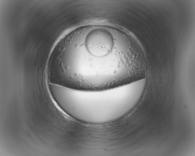 X0000080181432200612081122