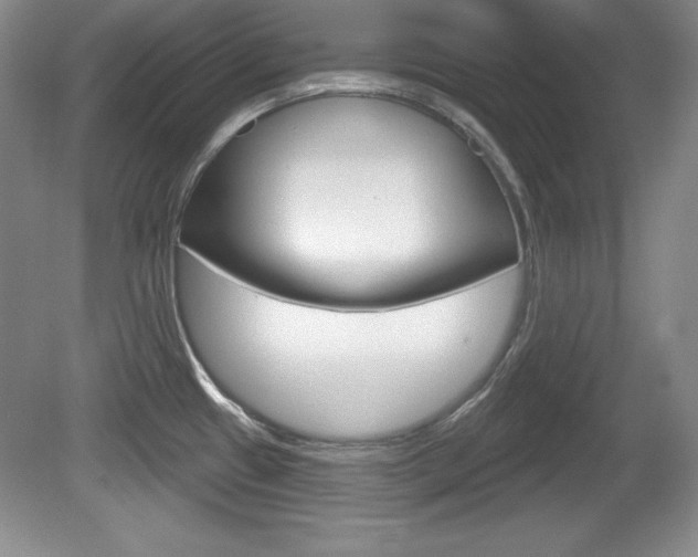 X0000080181433200612081122