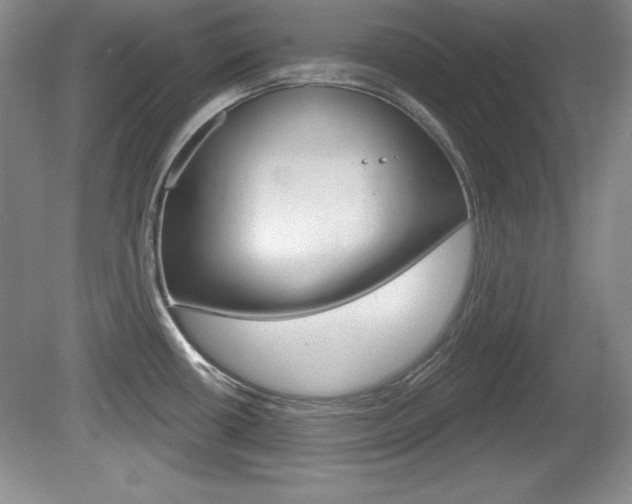 X0000080181434200612081122