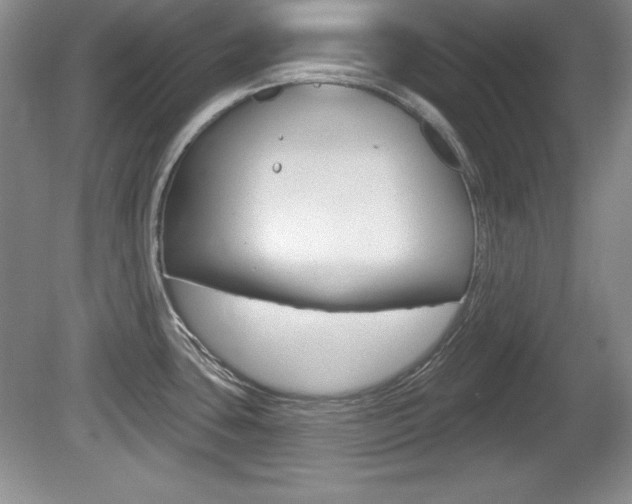 X0000080181435200612081122