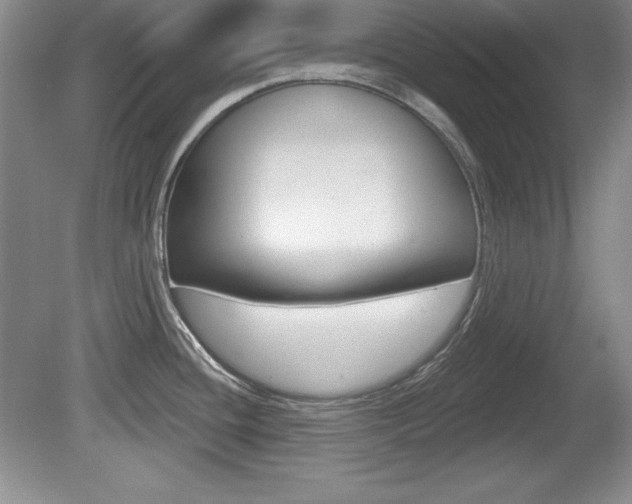 X0000080181436200612081122