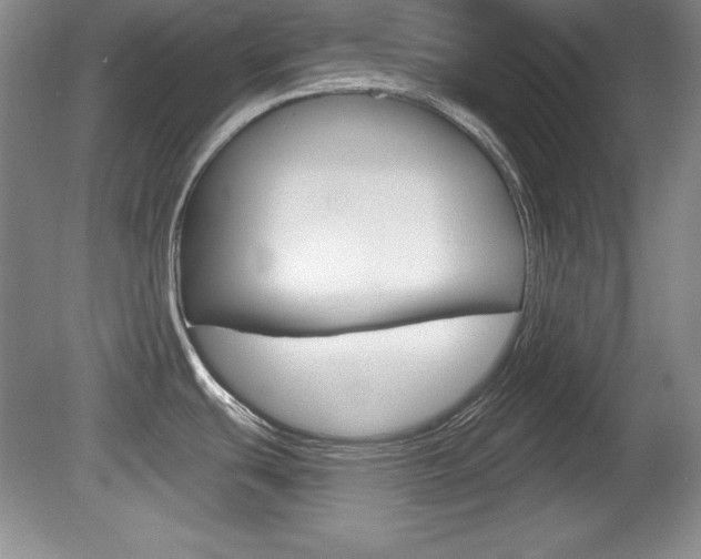 X0000080181439200612081122
