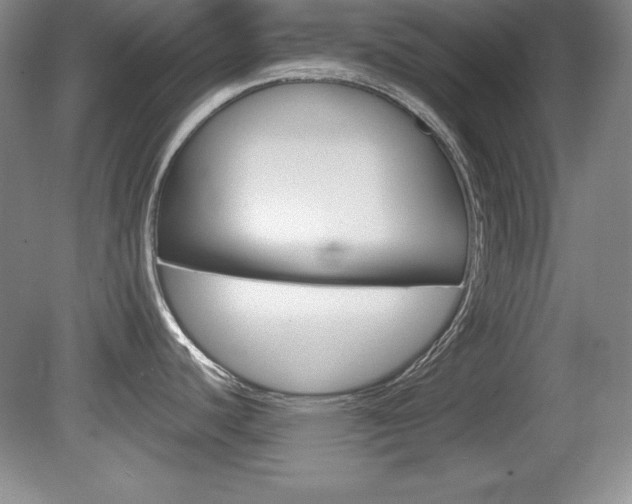 X0000080181440200612081122
